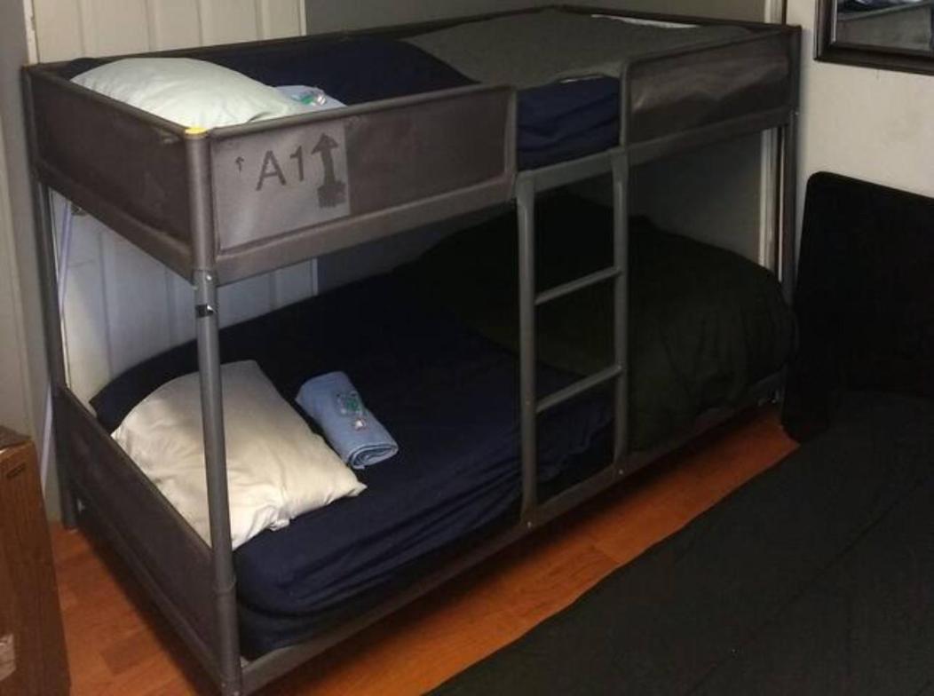 Co-Ed Dorm With Fantastic Patio! Διαμέρισμα Ewing Εξωτερικό φωτογραφία